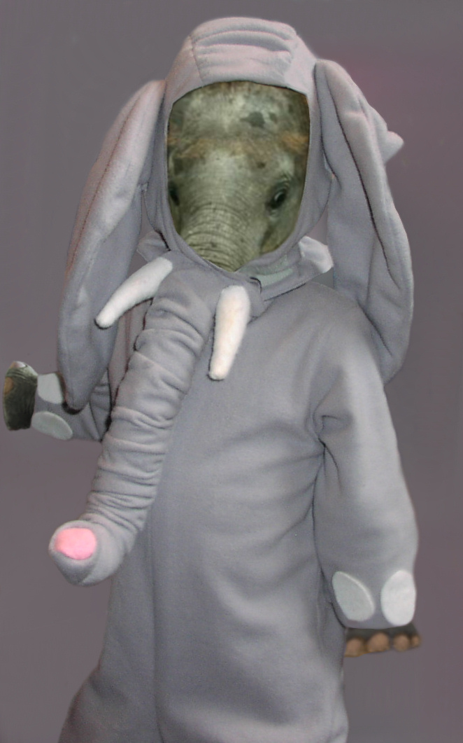 597.DAX Tipp-Spiel, Mittwoch, 15.08.07 114710