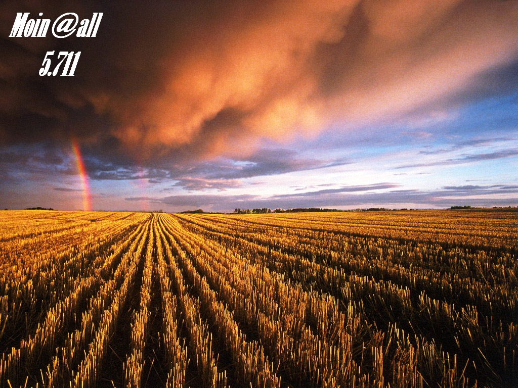 1.218.DAX Tipp-Spiel, Donnerstag, 28.01.10 295199