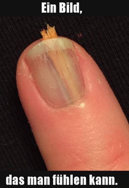 Börse ein Haifischbecken: Trade was du siehst 1200388