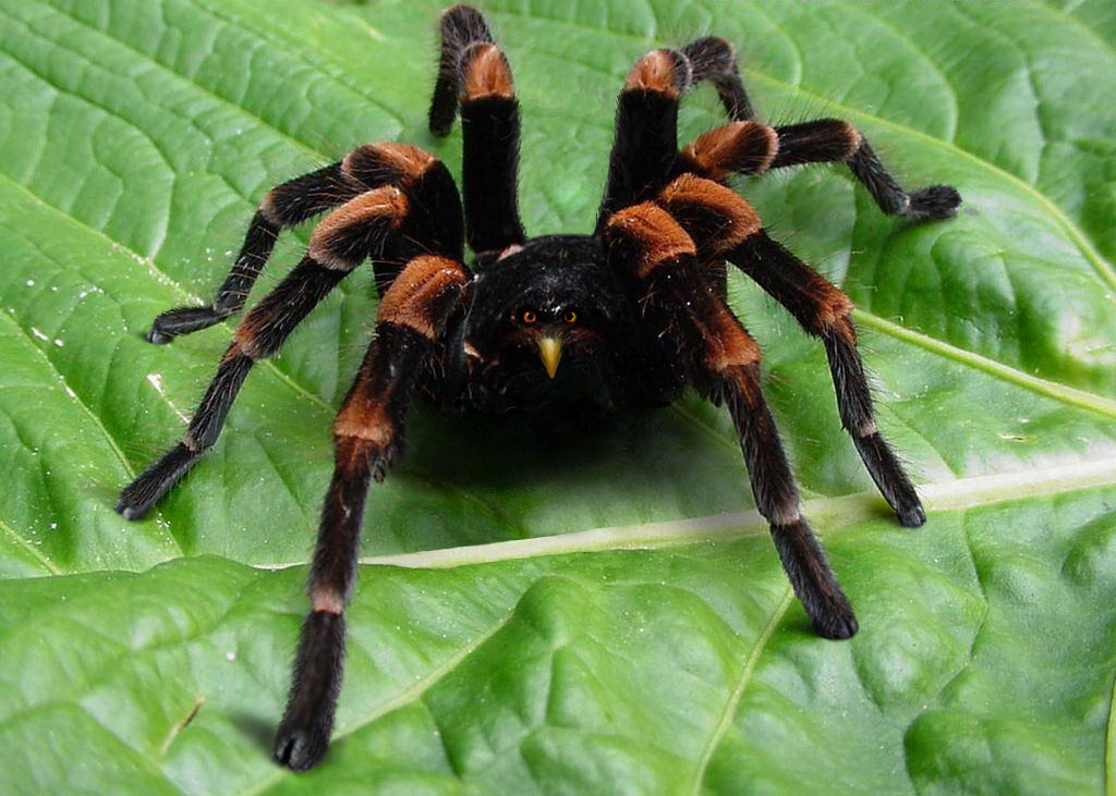 537.DAX Tipp-Spiel, Dienstag, 22.05.07, 17.45 Uhr, 99363