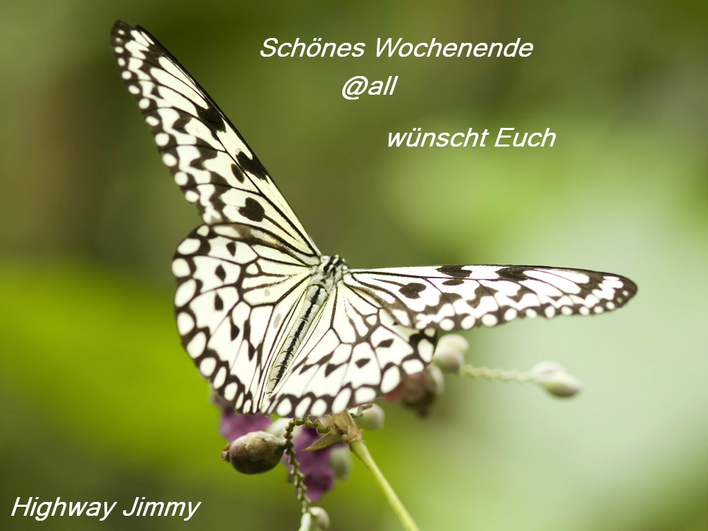 776.DAX Tipp-Spiel, Freitag, 02.05.08 162063