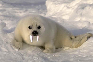 851.DAX-Tipp-Spiel **Freitag** 15.08.08-17.45 Uhr 180256