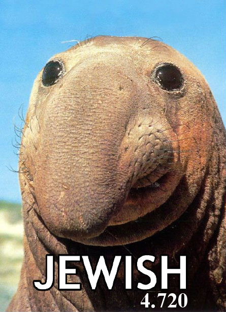 926.DAX Tipp-Spiel *Freitag* 28.11.08, 17.45 Uhr 202361