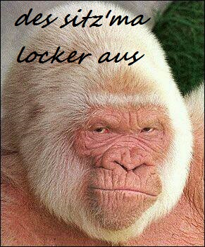 Hypoport - Kurschancen mit dem Finanzvertrieb 2.0 871292