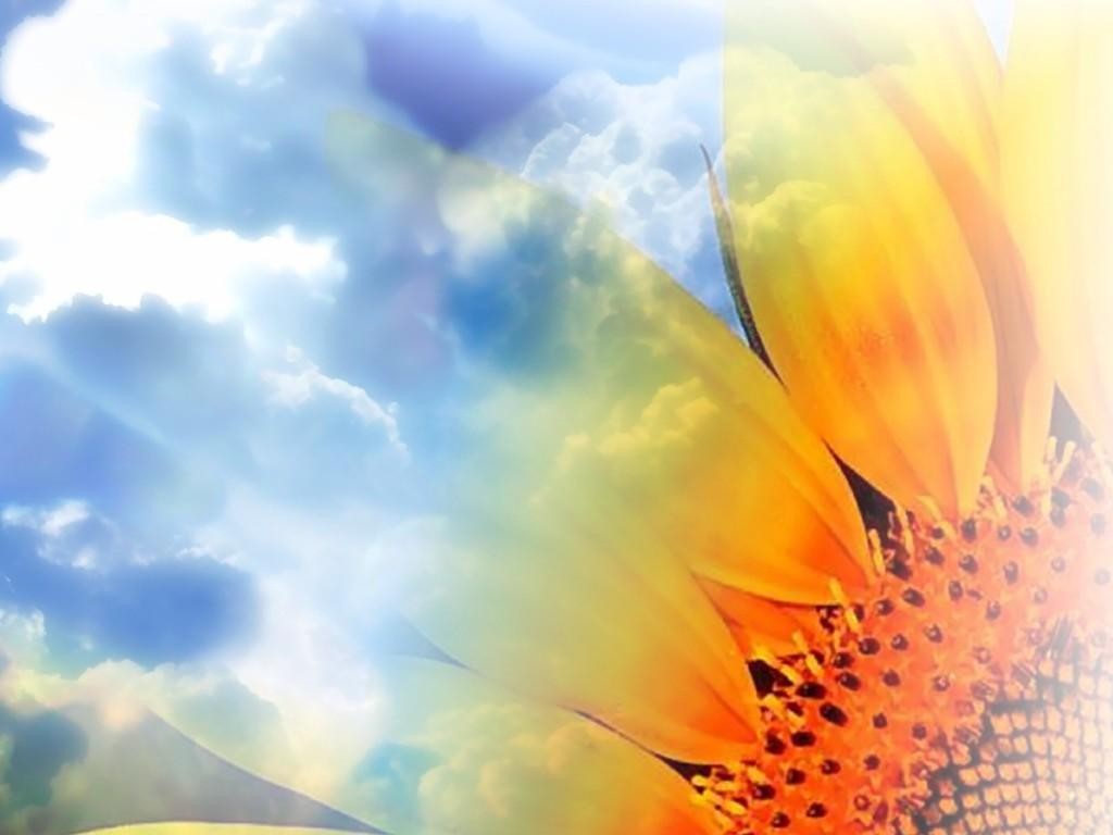 872.DAX Tipp-Spiel *Montag* 15.09.08, 17.45 Uhr 185837