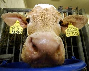 Quo Vadis Dax 2012 - Krise ohne Ende? 474220