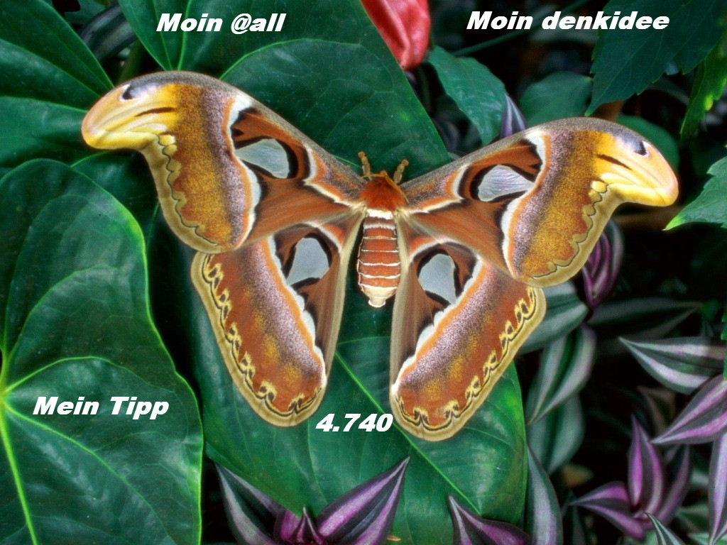 915.DAX Tipp-Spiel *Do* 13.11.08, 17.45 Uhr 199101