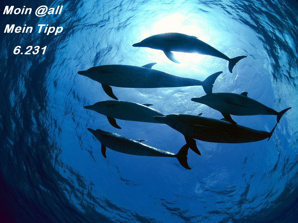 881.DAX Tipp-Spiel *Freitag* 26.09.08, 17.45 Uhr 188832