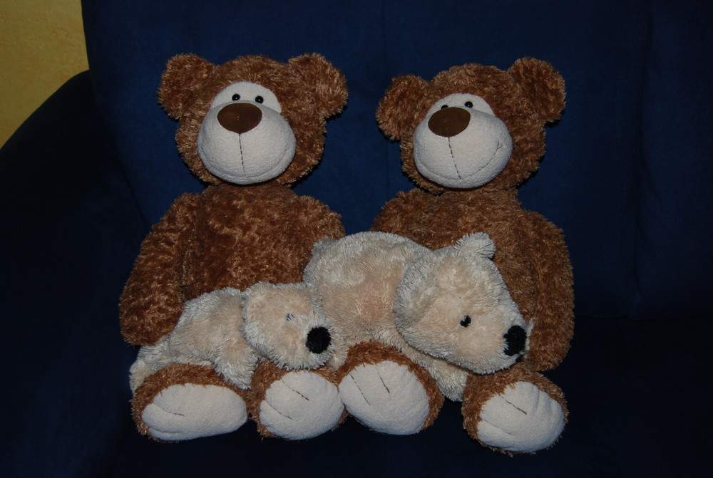 Der Antizykliker-Thread 269693