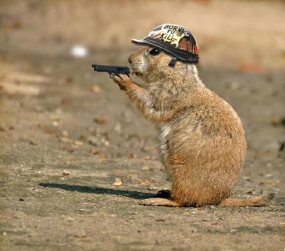 Gigaset ab 2011 - Informativ und immer am Ball .. 487092