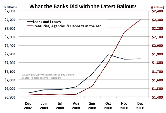 Der USA Bären-Thread 212783