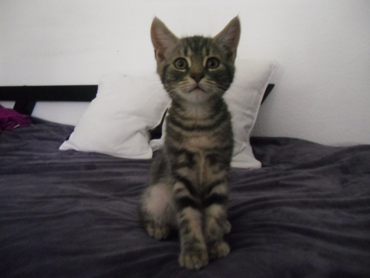 COOP News (ehemals: Wamu /WMIH) 1171737