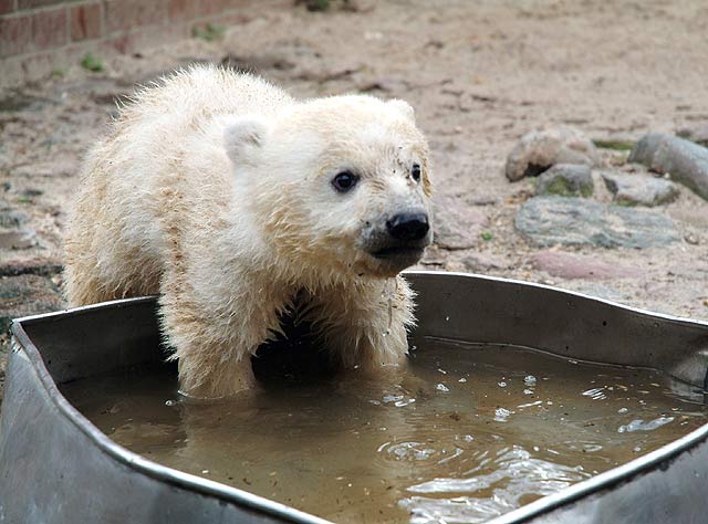 498.DAX Tipp-Spiel, Freitag, 23.03.07 89685