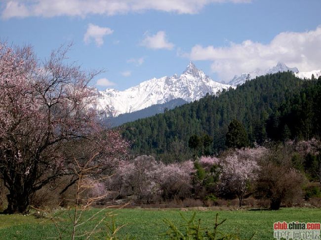 Pfleiderer News 360228