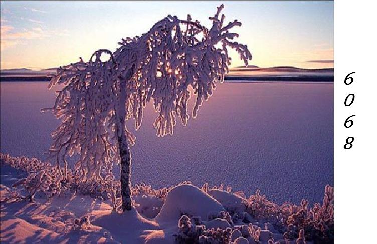 1.206.DAX Tipp-Spiel, Dienstag, 12.01.10 290609