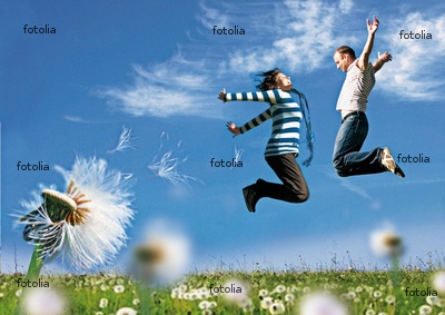 Conergy, Pro und Contra... 353065