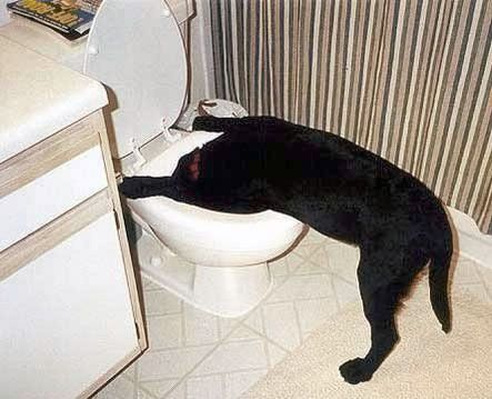 Conergy, Pro und Contra... 544017