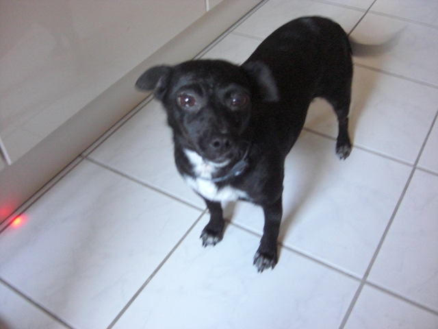 QV ultimate (unlimited) 680714