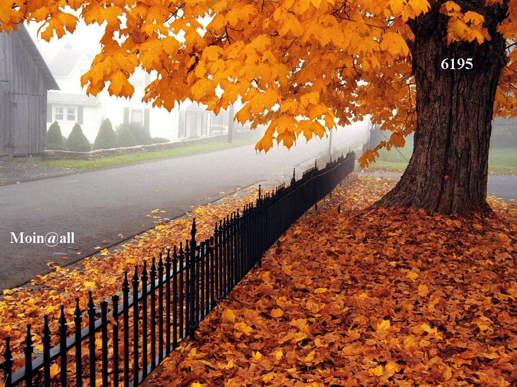 1.391.DAX Tipp-Spiel, Donnerstag, 30.09.10 348285