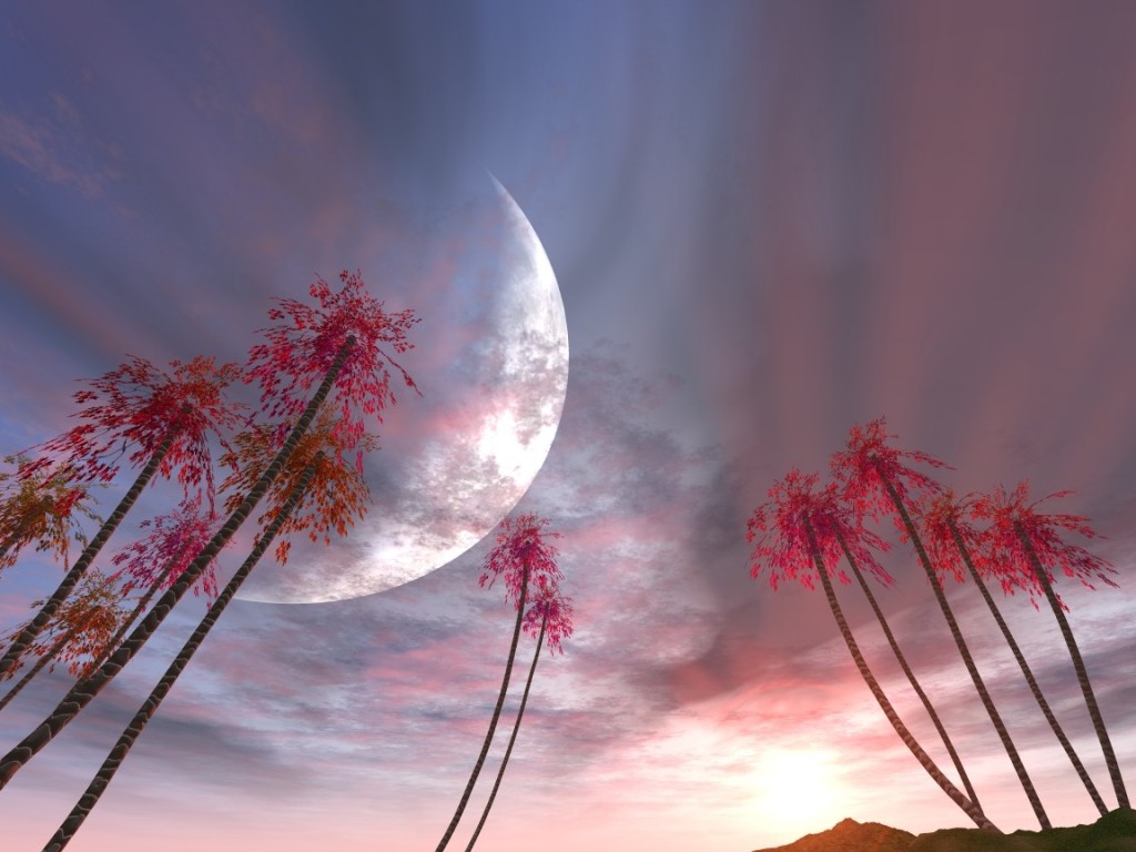 901.DAX Tipp-Spiel *Freitag* 24.10.08, 17.45 Uhr 194877