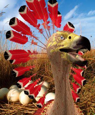 427.DAX Tipp-Spiel, Montag, 11.12.06 70933