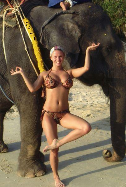 Die Links zu den Sternenkinder (DAX Spiel) 133905