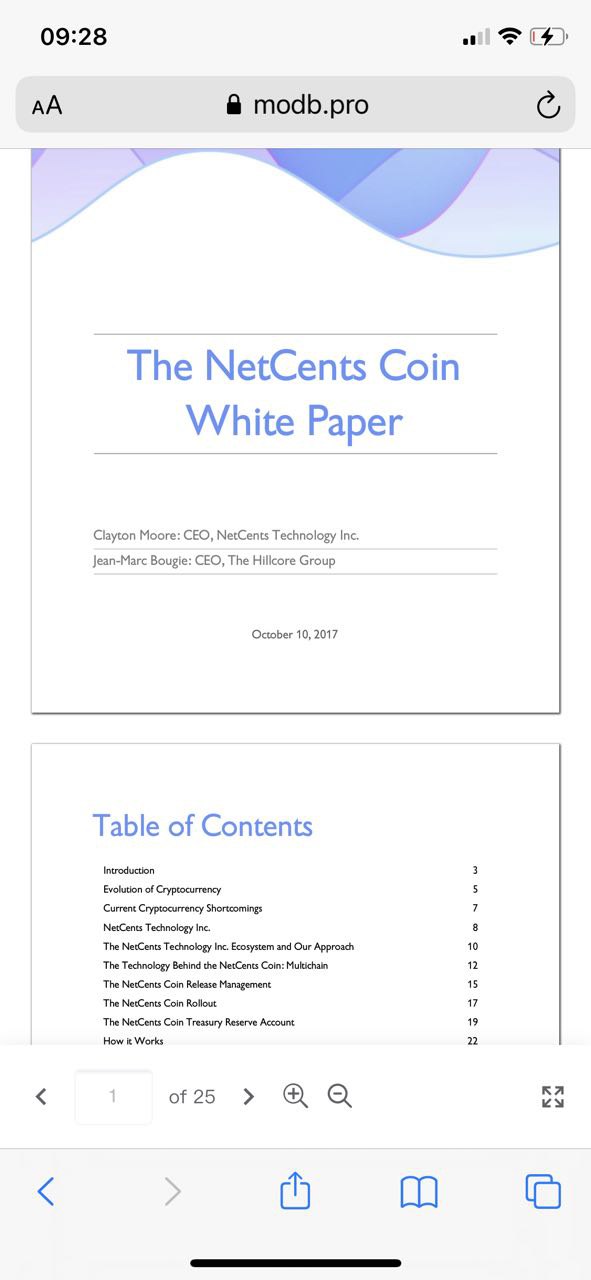 netcents, die neue online zahlungsplattform 1257999