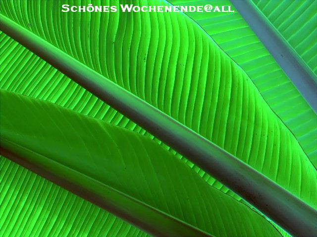 1.539.DAX Tipp-Spiel, Montag, 02.05.11 398931