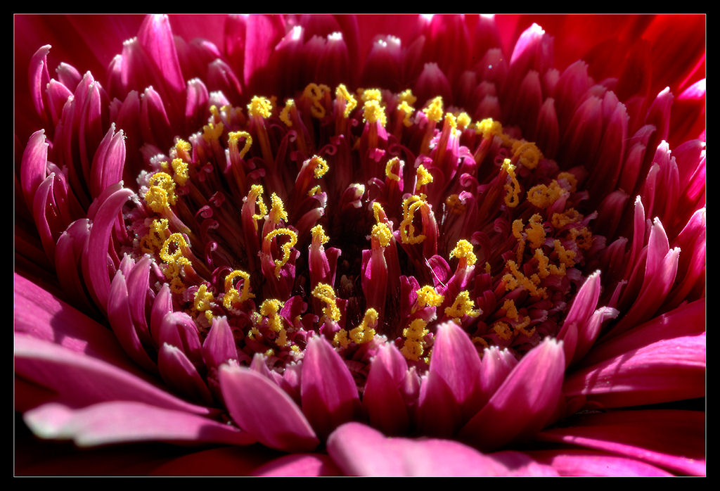 683.DAX Tipp-Spiel, Donnerstag, 13.12.07 136566