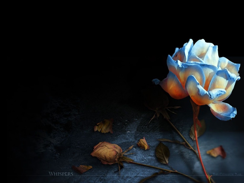 904.DAX Tipp-Spiel *Mittwoch* 29.10.08, 17.45 Uhr 195607