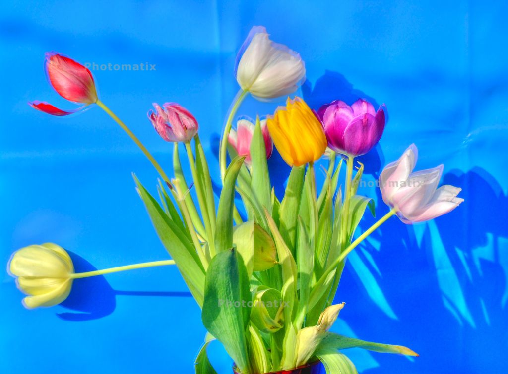 752.DAX Tipp-Spiel, Freitag, 28.03.08 157020