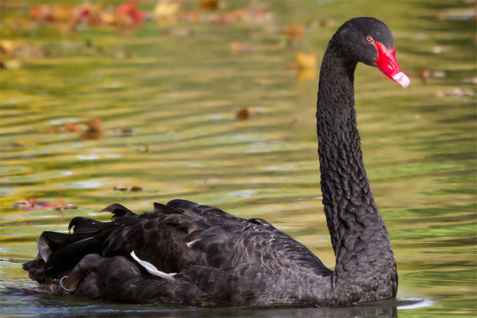 Krofitime Trading 1354564