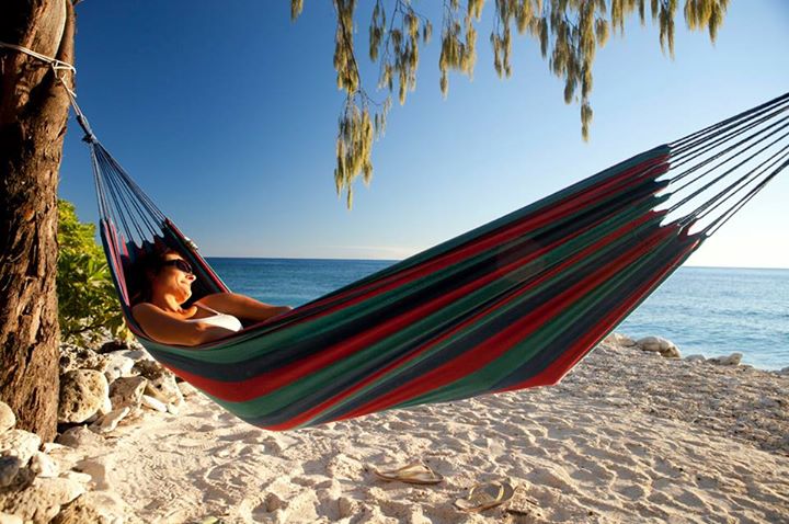 WMI Holdings ! Gibt es eine Alternative ? 873819