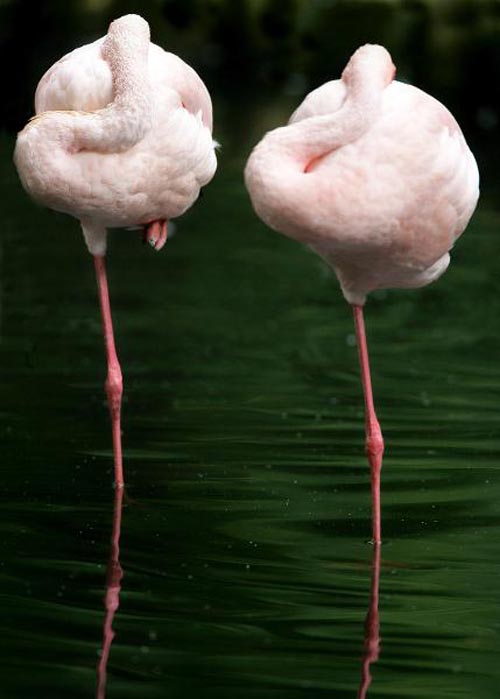 611.DAX Tipp-Spiel, Dienstag, 04.09.07 118440