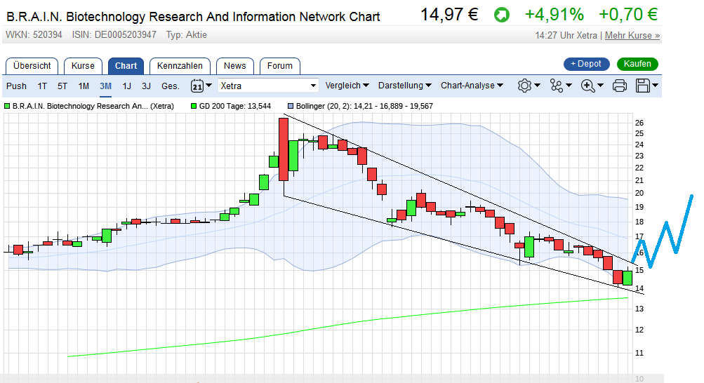 B.R.A.I.N. Biotech. Research And Information Aktie 977938