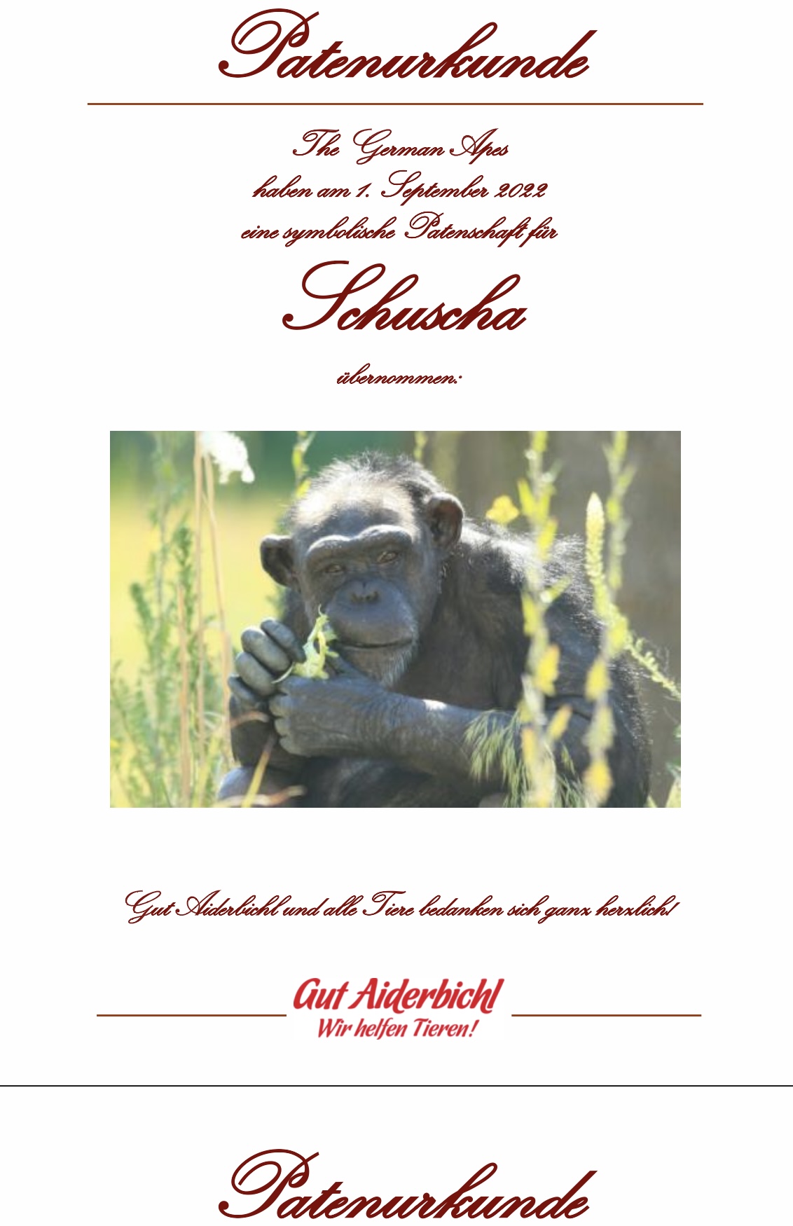 AMC Entertainment Holdings 2.0 - Todamoon?!? 1331363