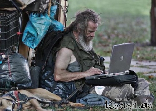 Der USA Bären-Thread 1170581