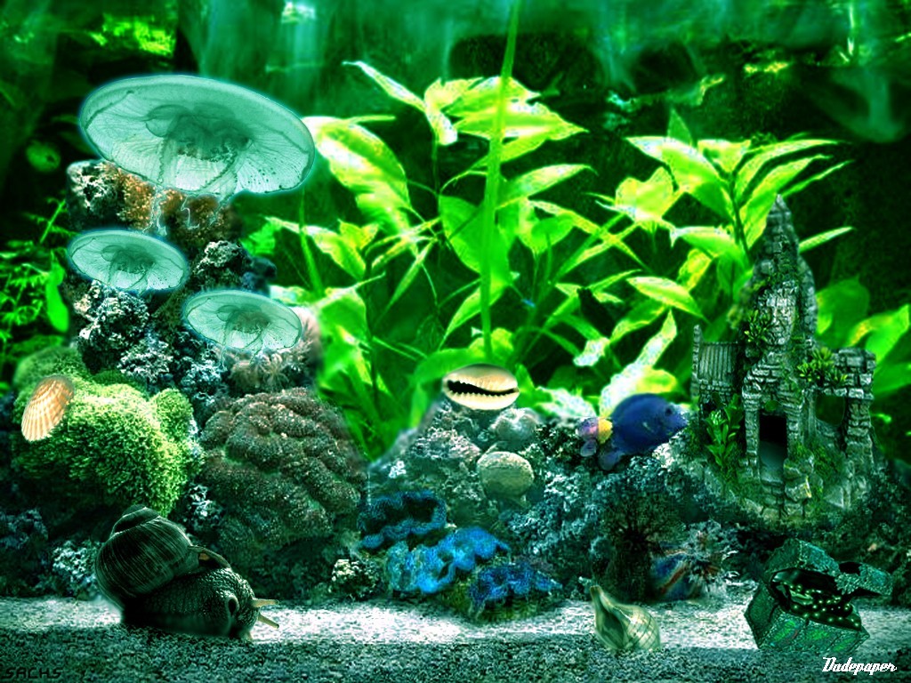 887.DAX Tipp-Spiel *Montag* 06.10.08, 17.45 Uhr 190500