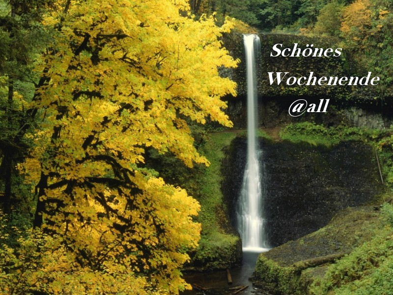 902.DAX Tipp-Spiel *Montag* 27.10.08, 17.45 Uhr 195049