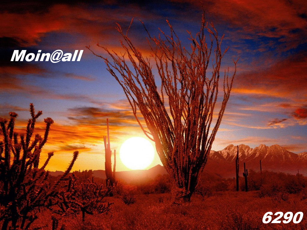 1.270.DAX Tipp-Spiel, Mittwoch, 14.04.10 313102