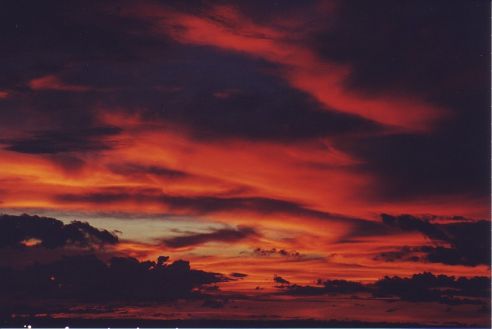 forsys neue Kursrakete ? 91141