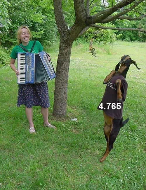 936.DAX Tipp-Spiel *Freitag* 12.12.08, 17.45 Uhr 205126