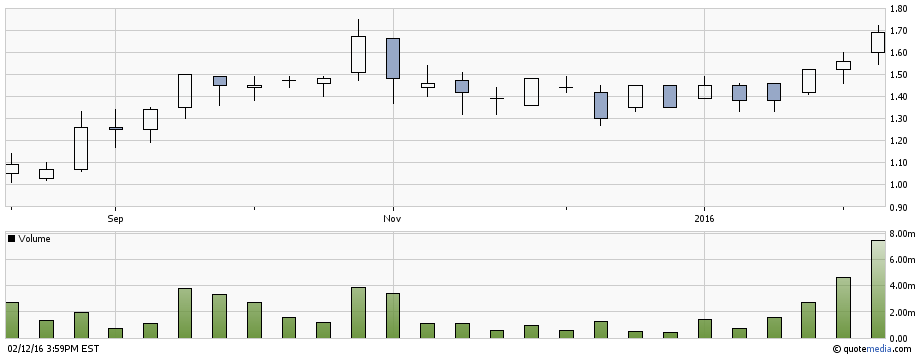 Newmarket Gold, hebt sie ab? 894197