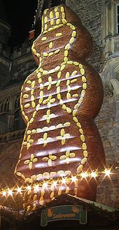 PAION Eine Fledermaus lernt wieder fliegen 351883