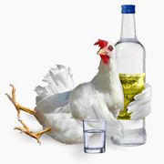 Freenet Group - WKN A0Z2ZZ 868331