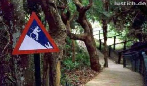 QV ultimate 2012 562768