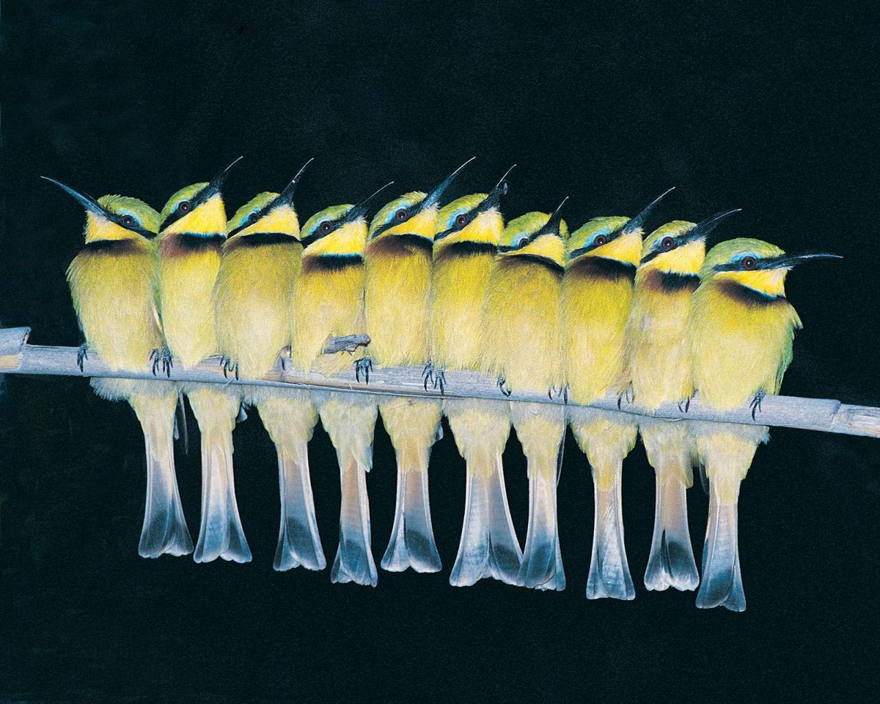 862.DAX Tipp-Spiel **Montag** 01.09.08, 17.45 Uhr 183086