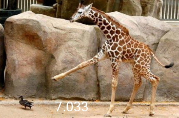 732.DAX Tipp-Spiel, Mittwoch, 27.02.08 151070