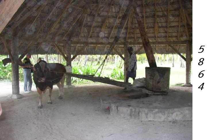 1.210.DAX Tipp-Spiel, Montag, 18.01.10 292472