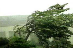 453.DAX Tipp-Spiel, Freitag, 19.01.07 77960